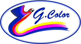 G. Color